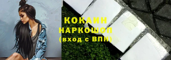 прущие грибы Снежногорск