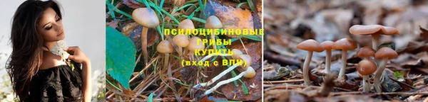 кокаин перу Богородицк